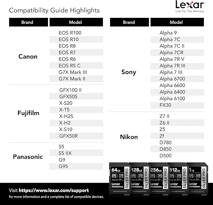 Lexar 256GB Professional Silver PRO SD Card, Full HD, - Image 6