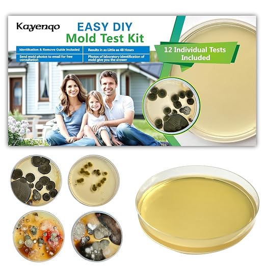 Mold Test Kit for Home by KAYENQO