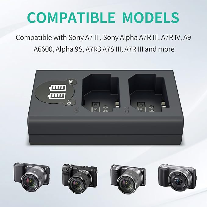 LP NP-FZ100 Camera Battery Charger, Dual USB Charger - Image 2