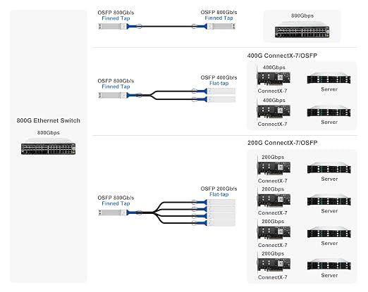 10Gtek 800Gb/s OSFP DAC Compatible - Image 5