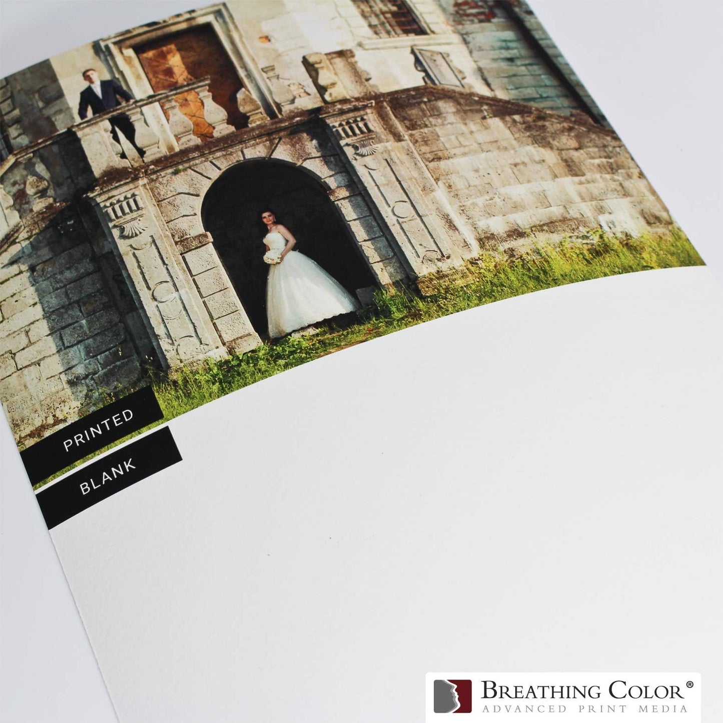 Elegance Velvet 17 in x 10 ft roll is a Premium Matte 310 gsm, Cold Pressed Bright White Museum Grade Fine Art Inkjet Paper, Compatible with Most Dye-Based and Pigment Printers