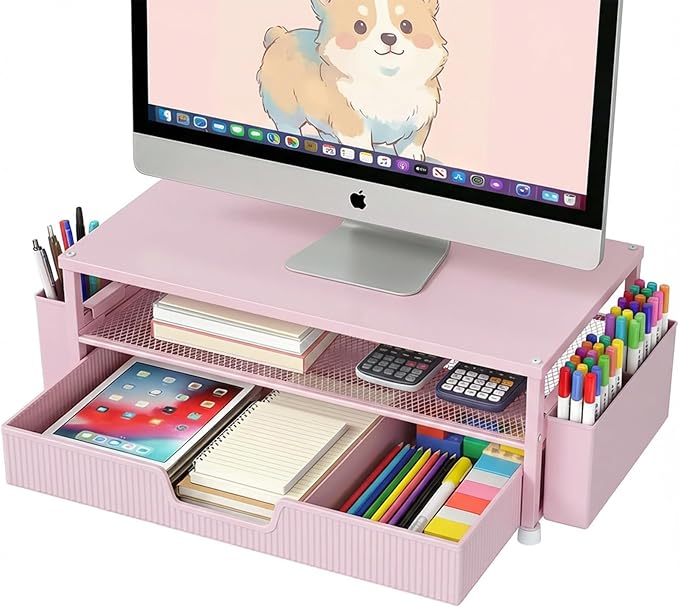 ECOLOVI Desk Organizer and Accessories, 2-Tier Computer Monitor Stand Rise by ECOLOVI