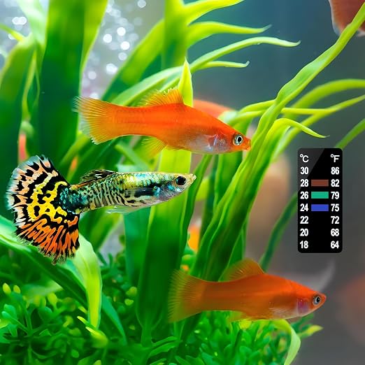 AQUANEAT 6 PCS Aquarium Thermometer Strips, Fish Tank Thermometer Sticker - Image 5