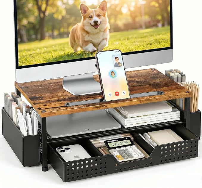 Desk Organizer and Accessories, 2-Tier Computer Monitor Stand Rise by ECOLOVI