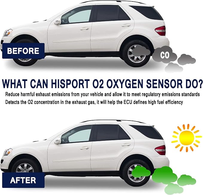 HiSport Oxygen Sensor Compatible - Image 7