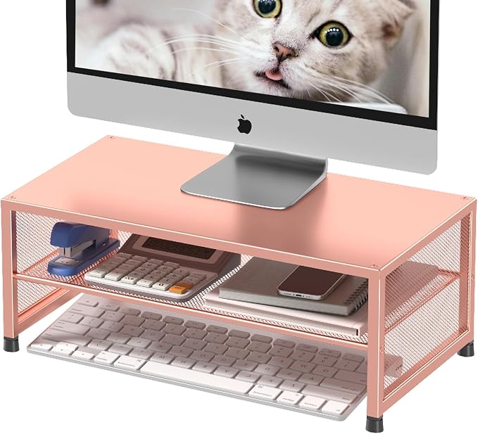 ECOLOVI 2-Tier Computer Monitor Stand Riser, Desk Organizer - Image 8