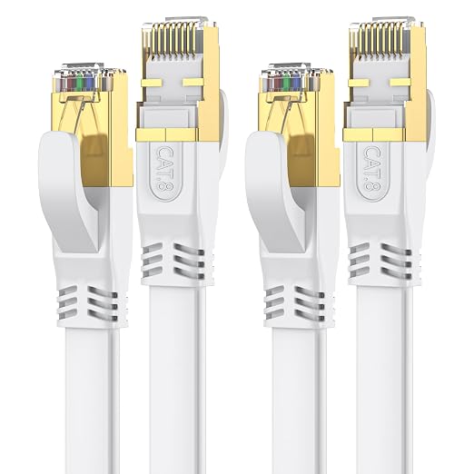 Cat 8 Ethernet Cable 6 FT 2Pack, Outdoor&Indoor High Speed Heavy Duty Network by Unknown