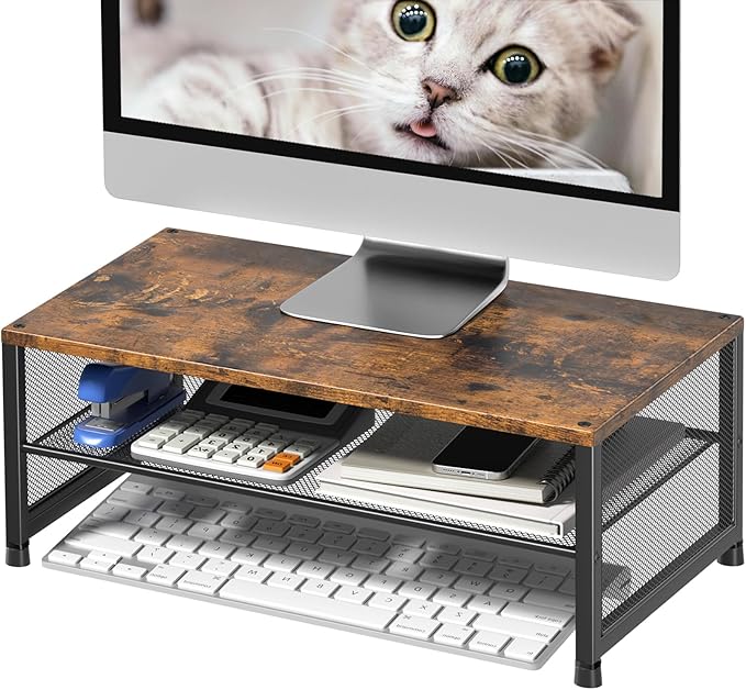 ECOLOVI 2-Tier Computer Monitor Stand Riser, Desk Organizer by ECOLOVI