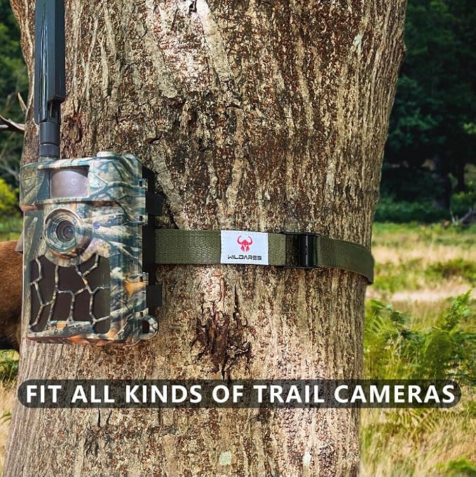 1" x 6.6' Trail Camera Strap, 1800 lbs, Heavy-Duty Game Camera Strap, Tree Belts - Image 6