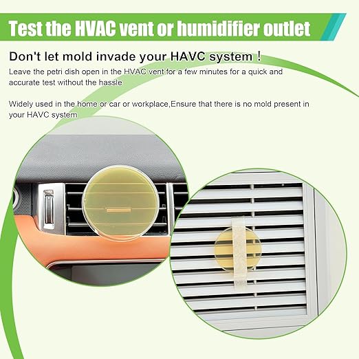 Mold Test Kit for Home - Image 6