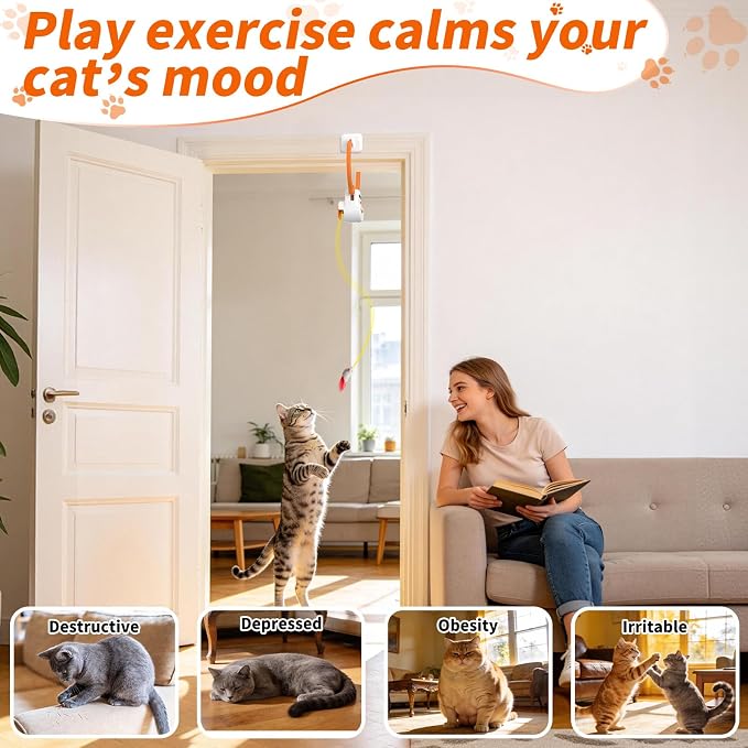 Interactive Cat Toys for Indoor Cats, Automatic Flying Bird Mouse Doorway - Image 6