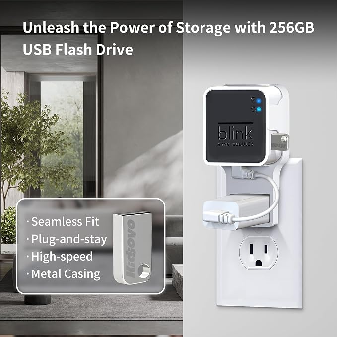 256GB Blink USB Flash Drive & Wall Mount - Image 2