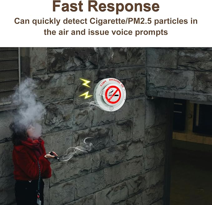 2in1 Cigarette Detector with Remote Control, No-Smoking and PM2.5 Alarm with - Image 8