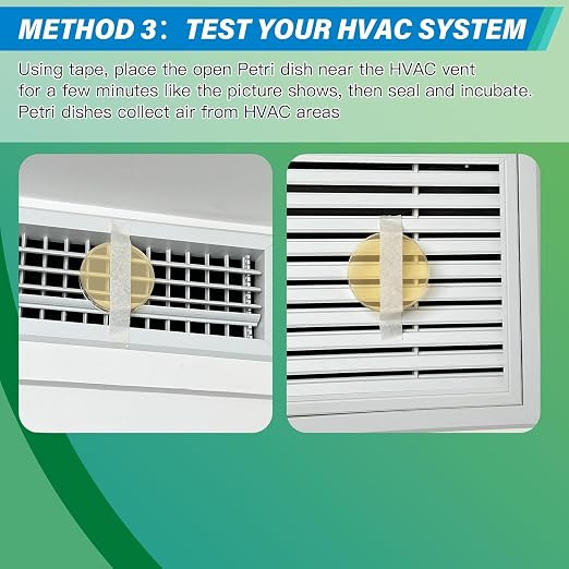 Mold Test Kit for Home - Image 6