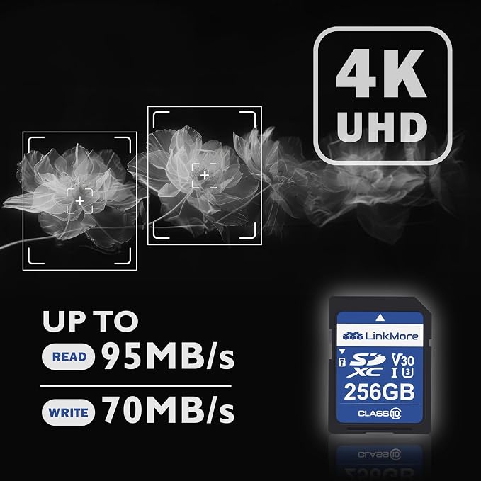 LinkMore 256GB Full-Size SD Card, SDXC Compatible - Image 3