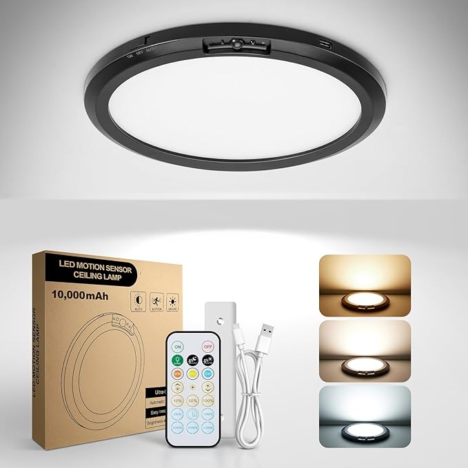 10, 000mAh Rechargeable Ceiling Light by Aggforbl