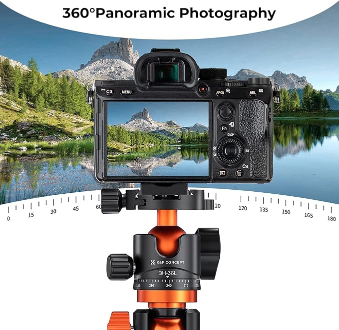K&F CONCEPT 36mm Metal Tripod Ball Head 360 Degree Rotating Panoramic - Image 5