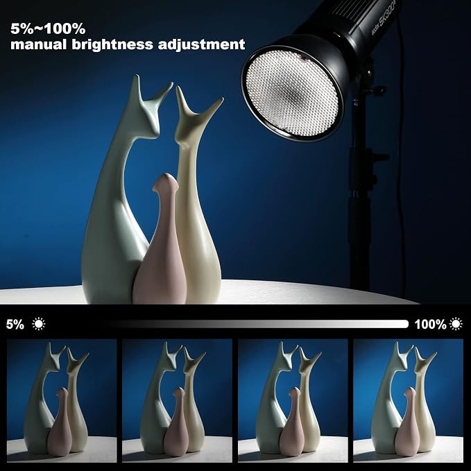 Godox 2X SK300II Studio Flash Strobe Kit:2.4G 600Ws Speedlite Flash Monolight - Image 7