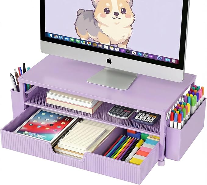 ECOLOVI Desk Organizer and Accessories, 2-Tier Computer Monitor Stand Rise by ECOLOVI