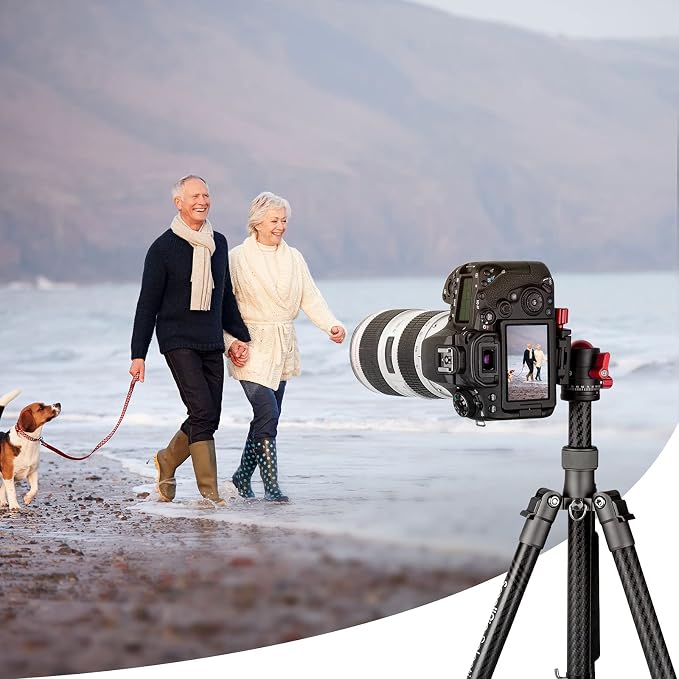 SmallRig Tripod Ball Head 360 Degree Rotating Panoramic Ballhead - Image 7