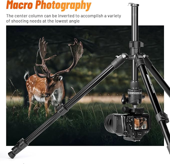 JOILCAN 66" Camera Tripod, Lightweight Travel Tripod - Image 6