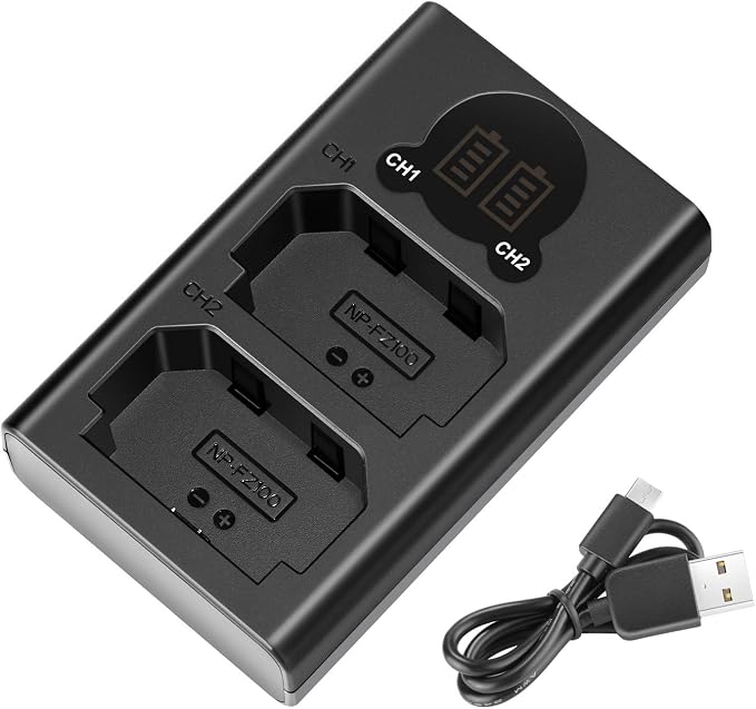 Neewer Dual USB Charger for Sony NP-FZ100 Battery, Compatible by Neewer