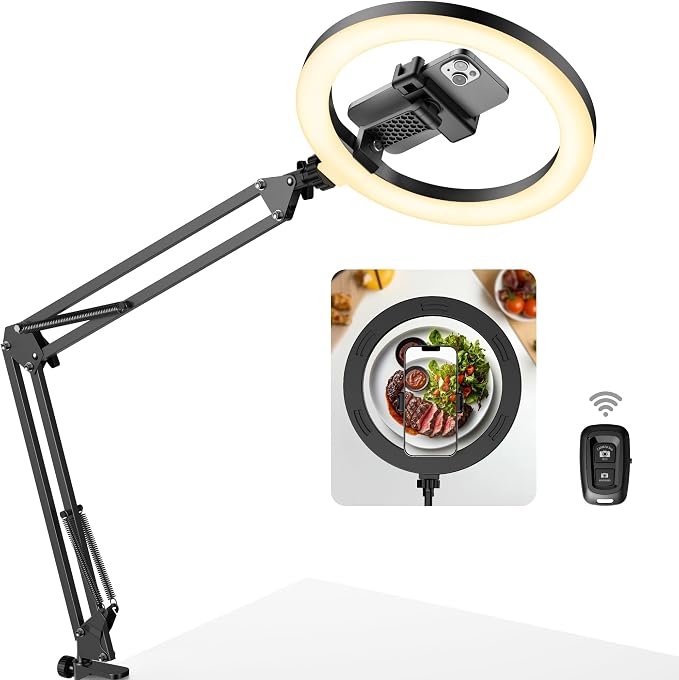 InnoGear Overhead Phone Mount by InnoGear