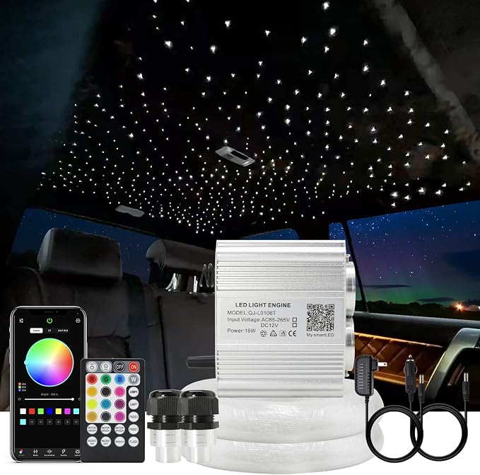 AKEPO Car Home Use APP Control Twinkle Fiber Optic Light Kit, 16W RGBW Dual by AKEPO