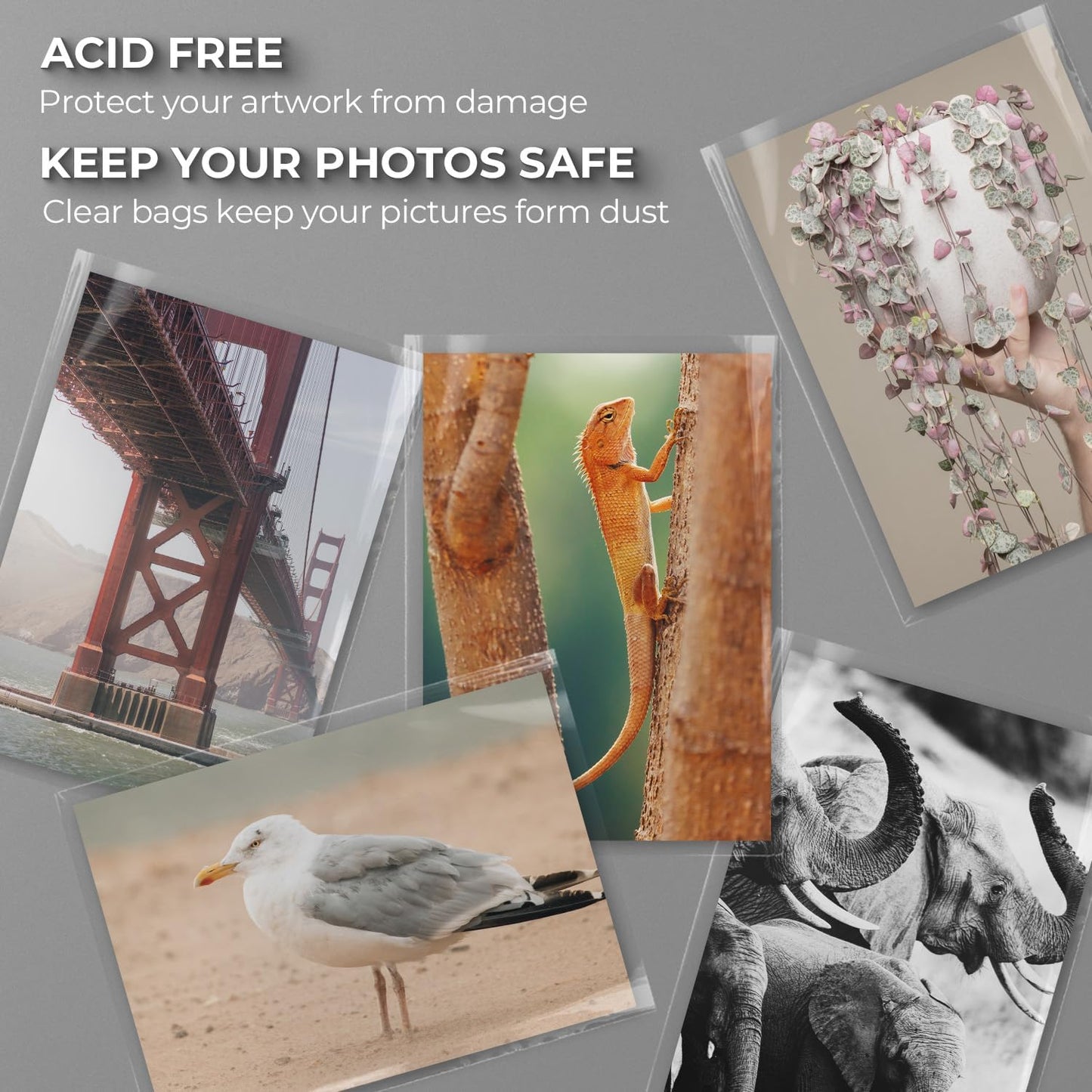 Frametory, 9 x 11 3/7 Inches Acid-Free Clear Plastic Bags, Self Seal Crystal Photo Sleeves for 8.5x11 Framing Mat Mattes, Art Prints, Pictures, Posters - 25 Pack