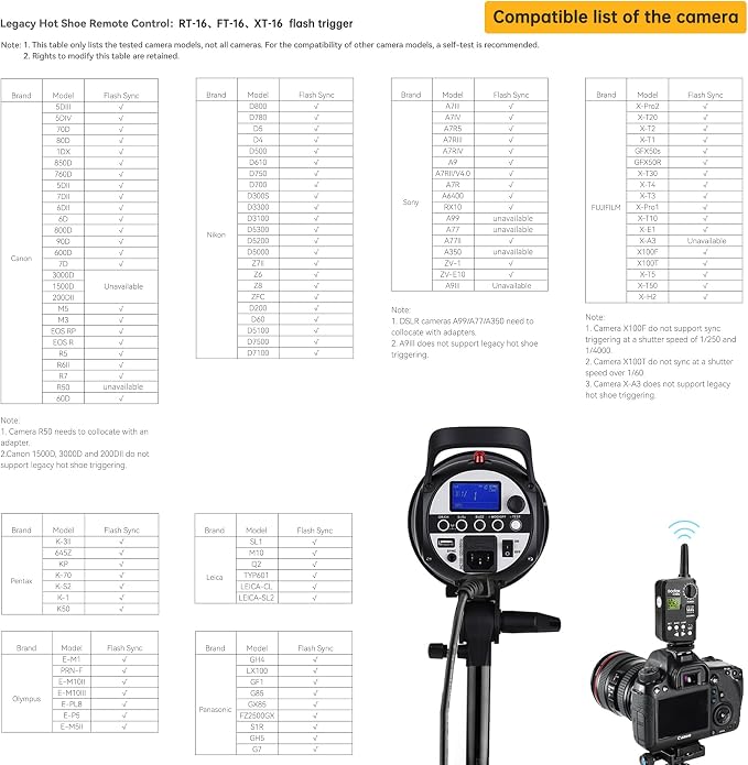 Godox 800W Professional Studio Flash Light Kit, 2-Light Godox SK400II Photo - Image 5