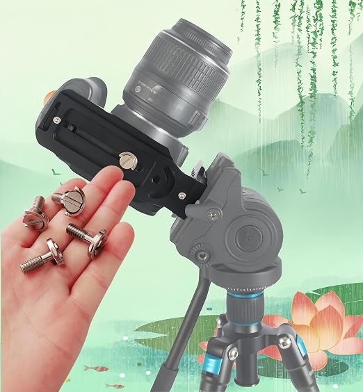 4 Pack Stainless Steel D-Ring 1/4-20 Tripod Screw Adapter, Camera Fixing Screws - Image 5