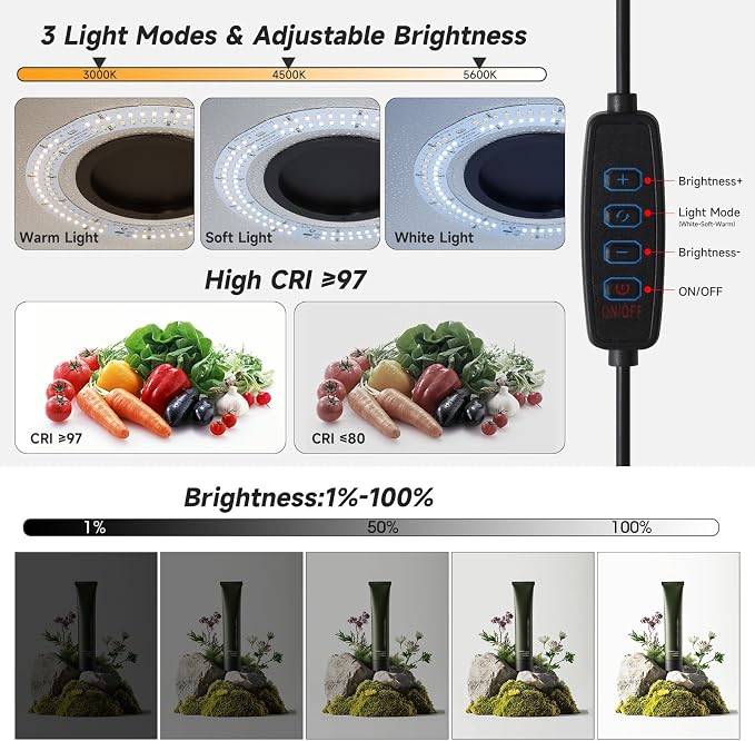 Portable Photo Studio Light Box - Image 5