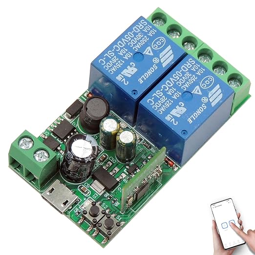 DieseRC 2 Channels WiFi Smart Switch, DC 5V 12V 24V 36V Passive Output Relay by DieseRC