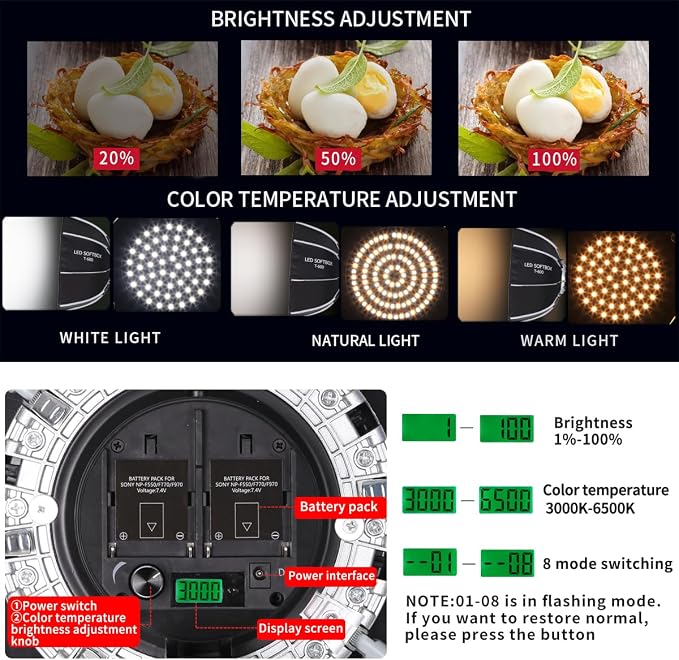 Octagonal Softbox LED Photography Light Kit - Image 3