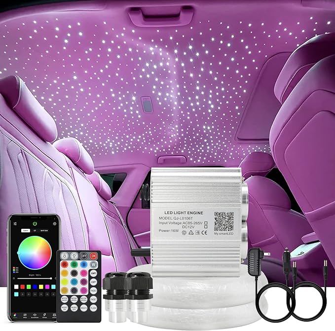 AKEPO Upgraded Car Home APP Twinkle Fiber Optic Lights Kit, Dual Head 16W 900 by AKEPO