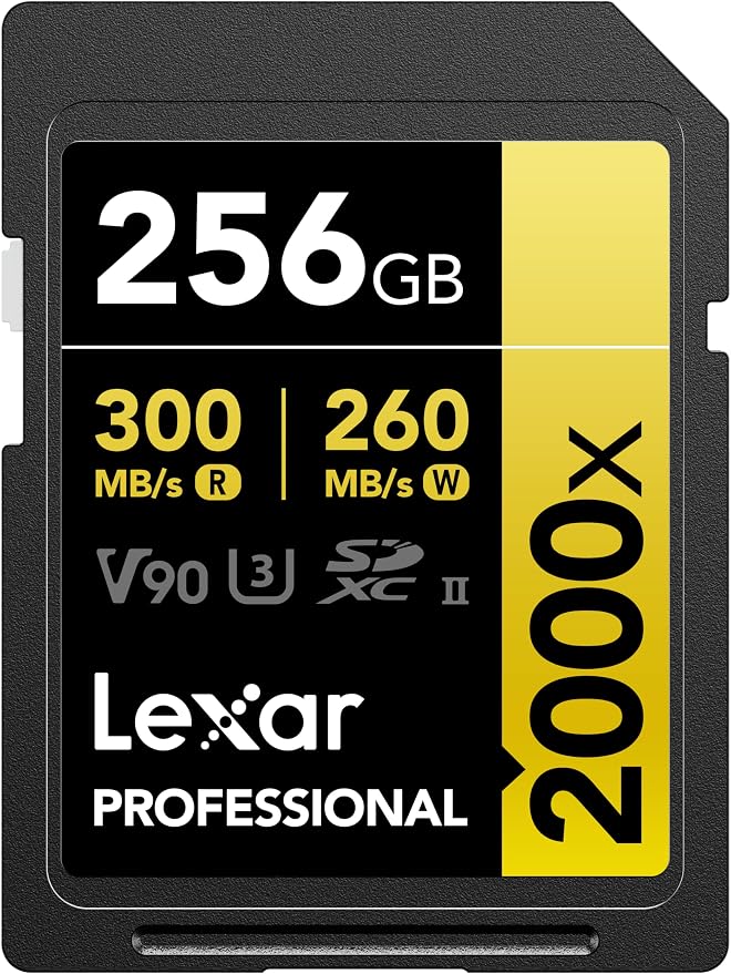 Lexar 256GB Professional 2000x SD Card, Full HD, by Lexar