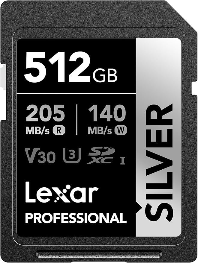 Lexar 512GB Professional Silver SD Card, by Lexar