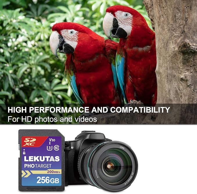 256GB SDXC UHS-I Memory Card - Image 3