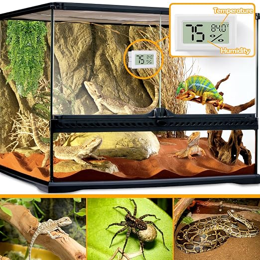 Bearded Dragon Accessories, Reptile Tank Accessories - Image 2