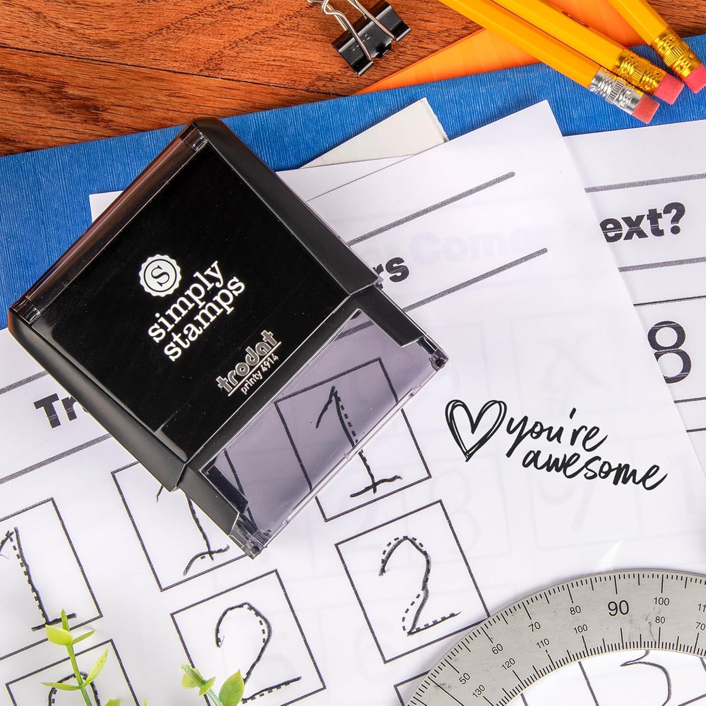 Custom Self-Inking Stamps | 49 Designs | Fun Phrases | Grading Made Easy | Classroom, Library and Book Stamps (You're Awesome, Xtra Wide)