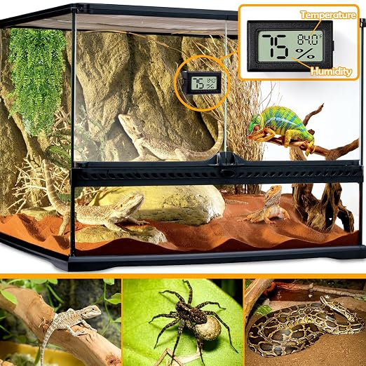 4 PCS Rectangle Reptile Thermometer and Humidity Gauge - Image 2
