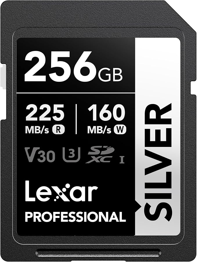 Lexar 256GB Professional Silver SD Card, by Lexar
