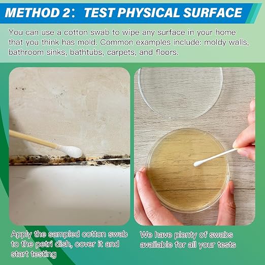 Mold Test Kit for Home - Image 5