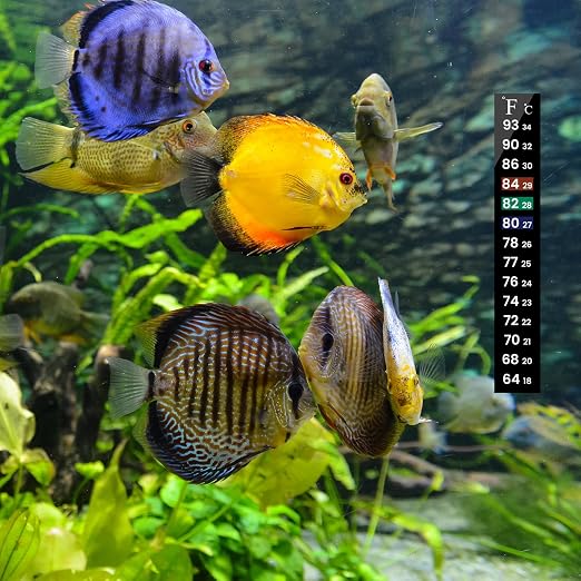 AQUANEAT 6 PCS Aquarium Thermometer Strips, Fish Tank Thermometer Sticker - Image 5