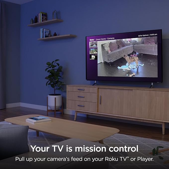 Roku CS1000R Smart Home Indoor Camera SE - Image 6