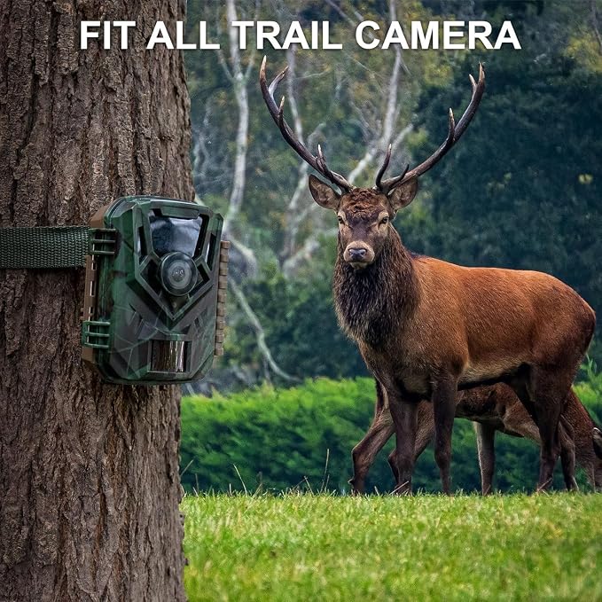 Trail Camera Strap 2 PCS - Image 7