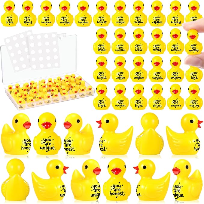 Skylety 36 Pcs Back to School Mini Resin Ducks by Skylety