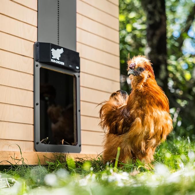 RUN-CHICKEN Door T50 – Automatic Chicken Coop Door Opener, Battery Powered & - Image 3