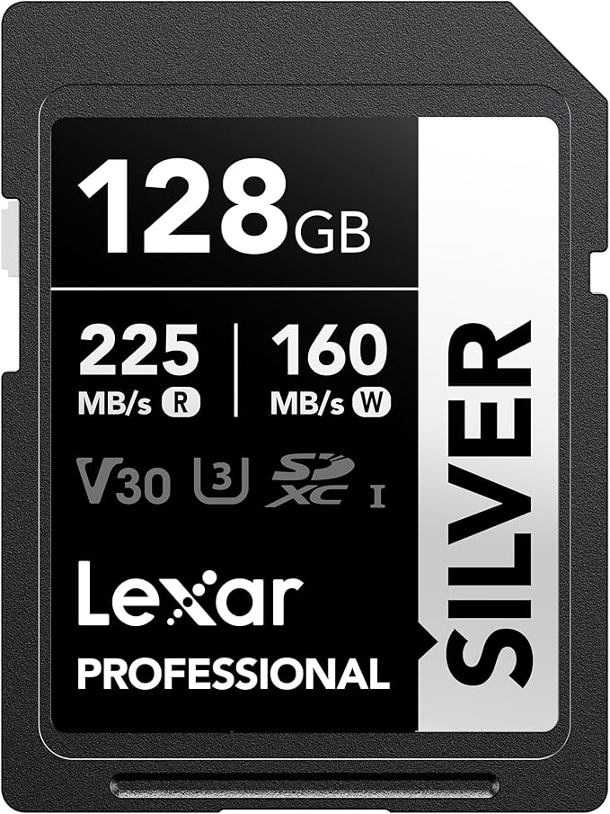 Lexar 128GB Professional Silver SD Card, by Lexar