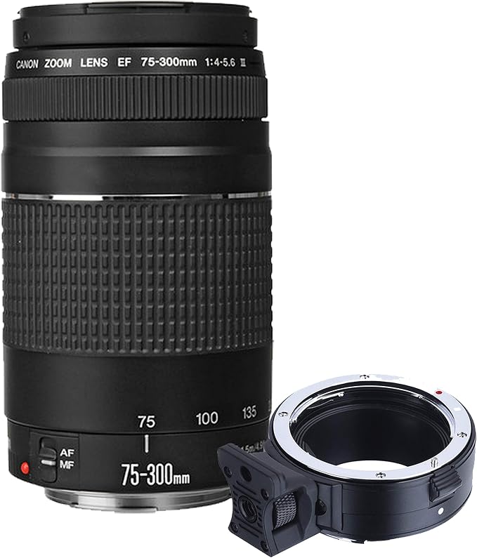 Canon EOS R7 Mirrorless Digital Camera - Image 4